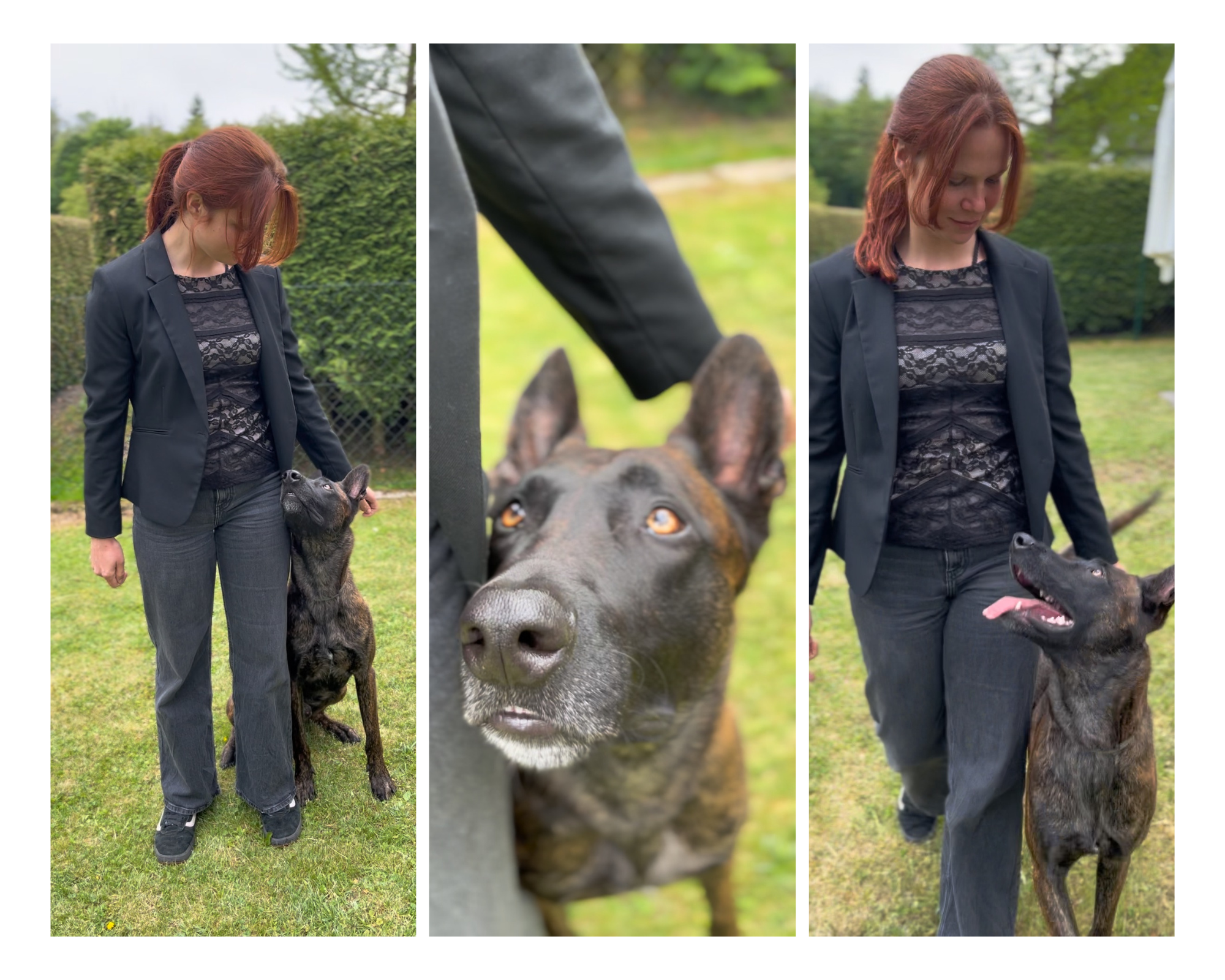 Fußarbeit mit Hund Emil
