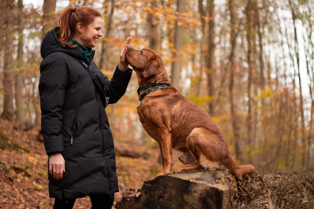 Handtarget mit Hund Olaf