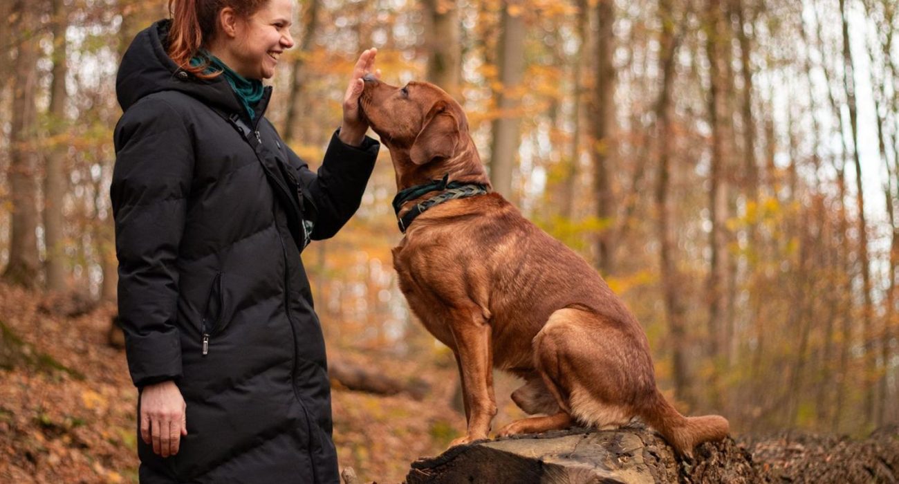 Handtarget mit Hund Olaf